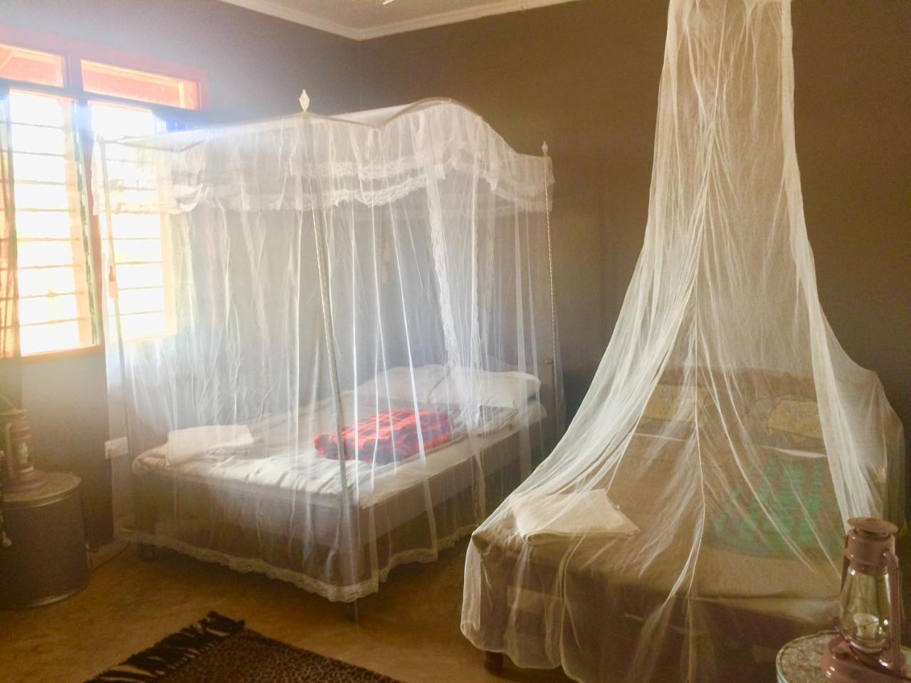 Amboseli Eco Camp Villa Exterior photo